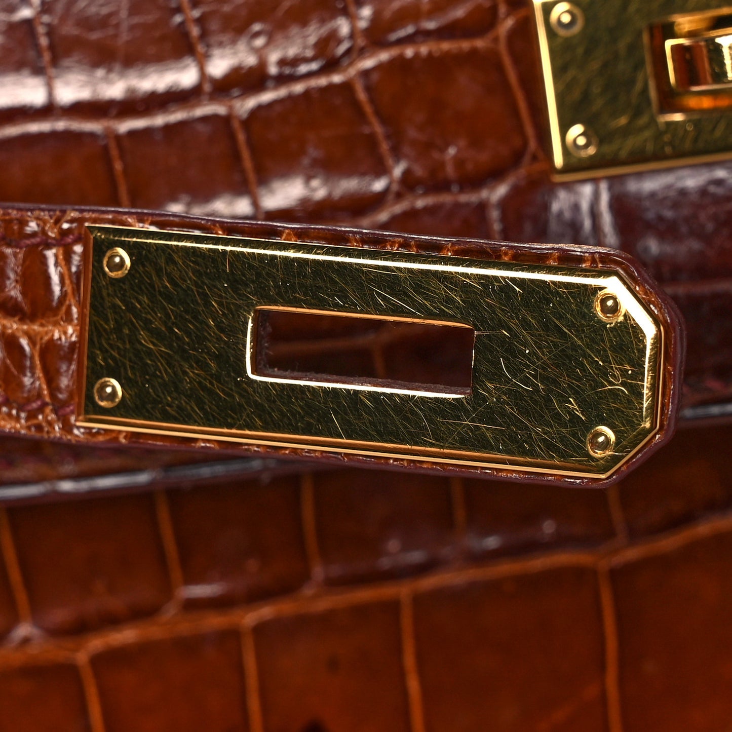 Shiny Niloticus Crocodile Kelly Sellier 28 Miel