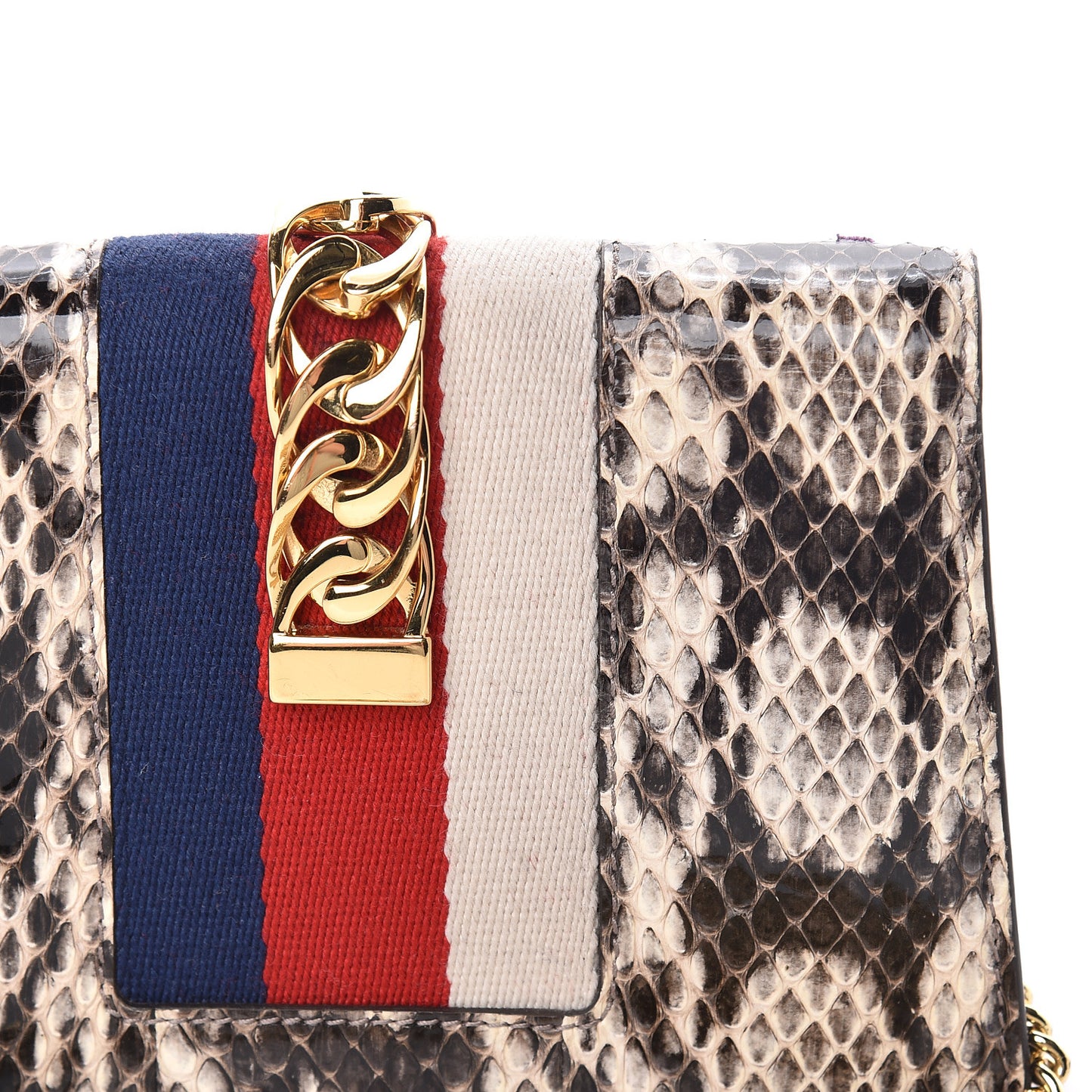 Snakeskin Floral Embroidered Super Mini Sylvie Chain Shoulder Bag
