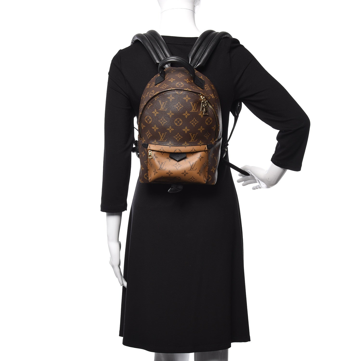 Louis Vuitton Reverse Monogram Palm Springs Backpack PM 2 of 9