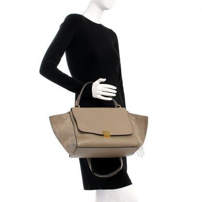 Celine Calfskin Suede Whipsnake Medium Trapeze Black Dune 3 of 25