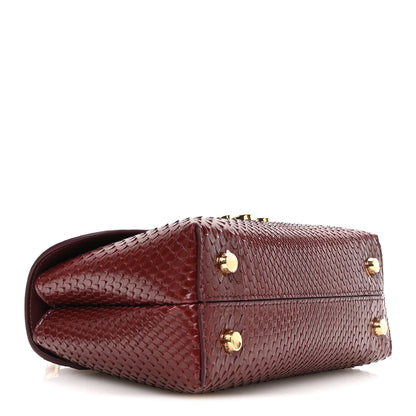 Celine Snakeskin Teen Nino Syrah 4 of 12