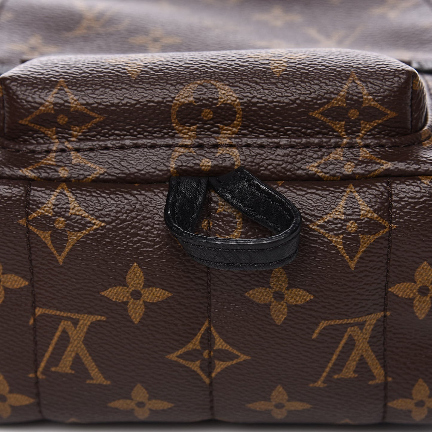 Monogram Palm Springs Backpack Mini