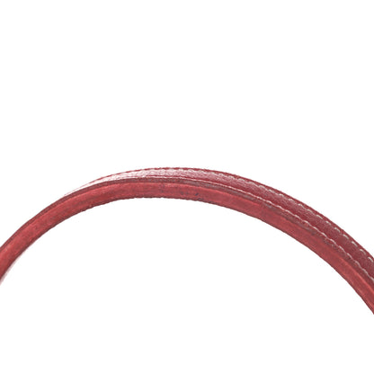 Goyard Goyardine Saint Louis PM Red 18 of 20