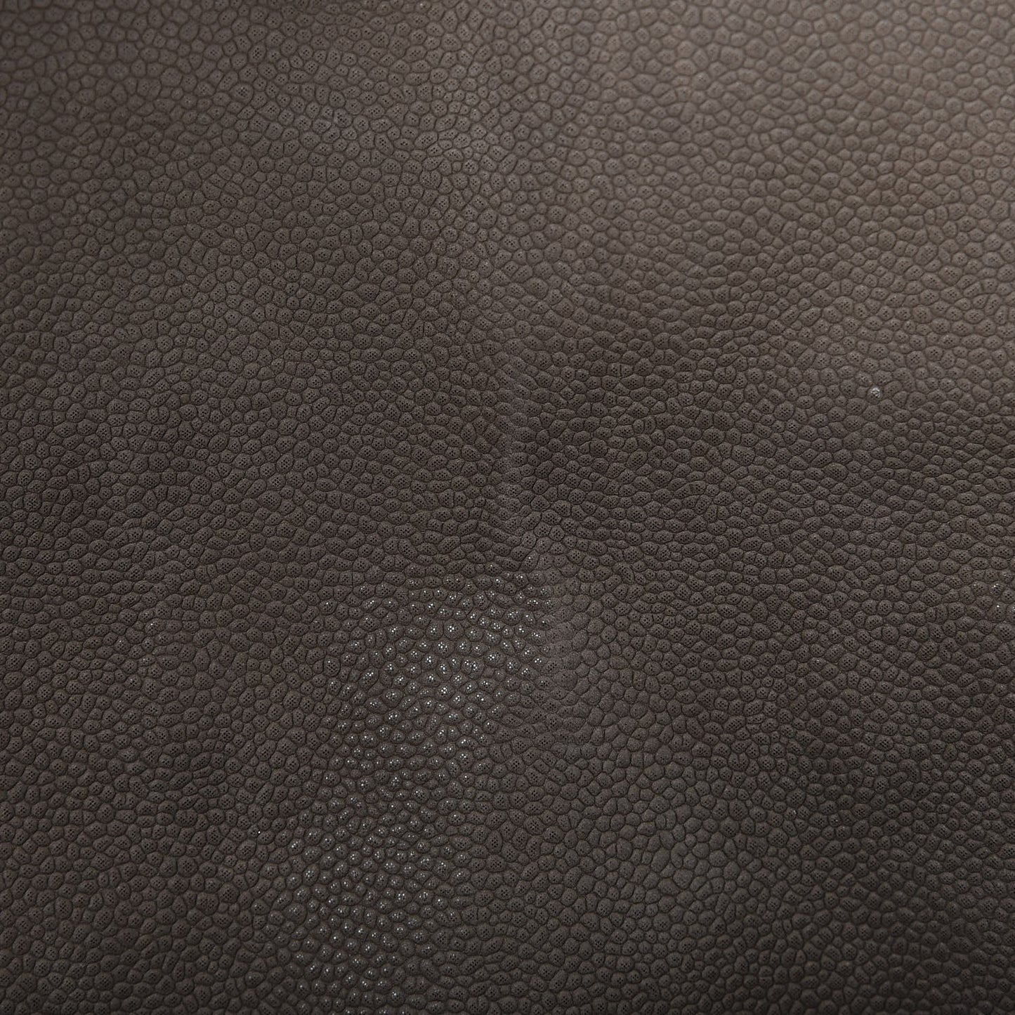 Iridescent Caviar Medium Lady Pearly Flap Khaki