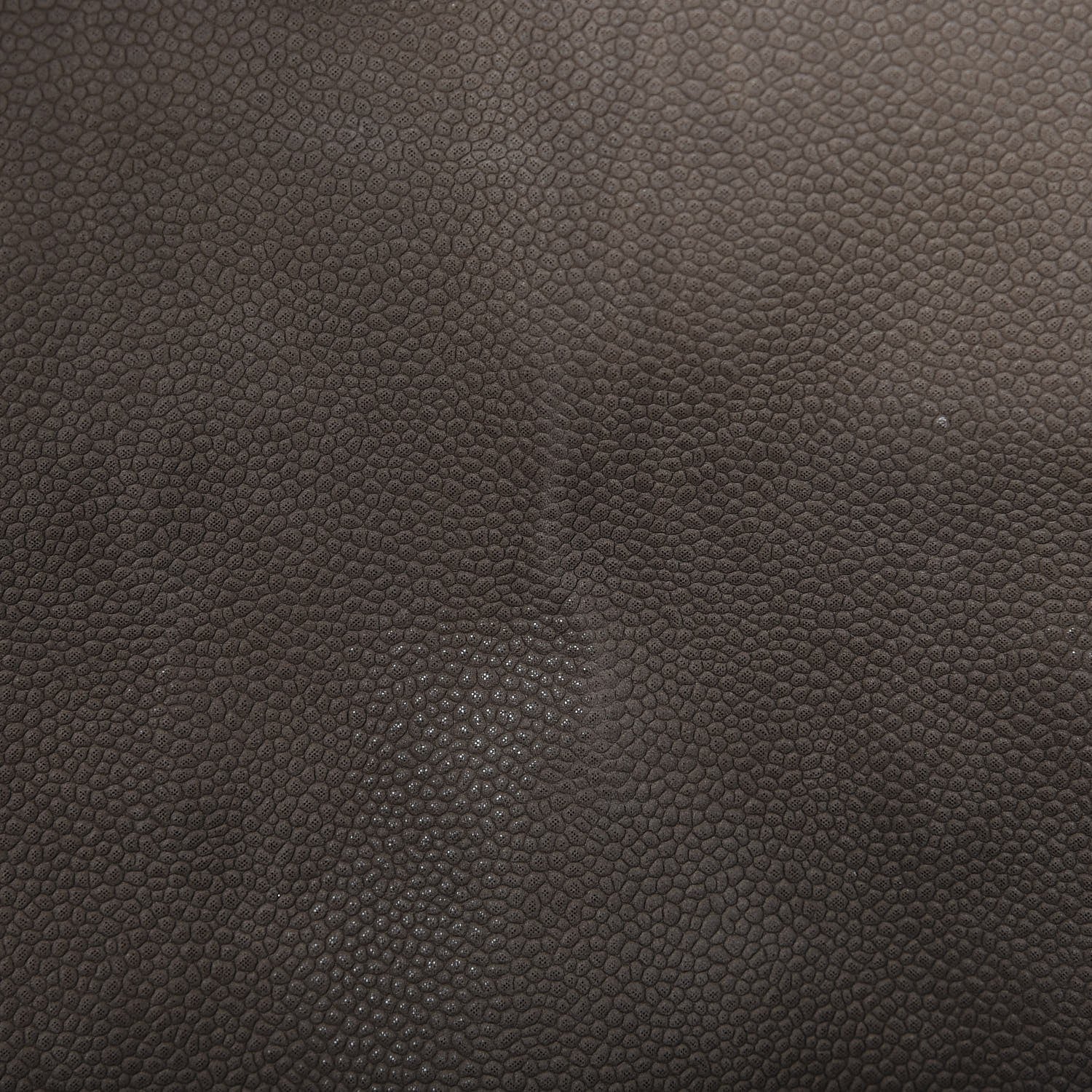 Chanel Iridescent Caviar Medium Lady Pearly Flap Khaki 10 of 14