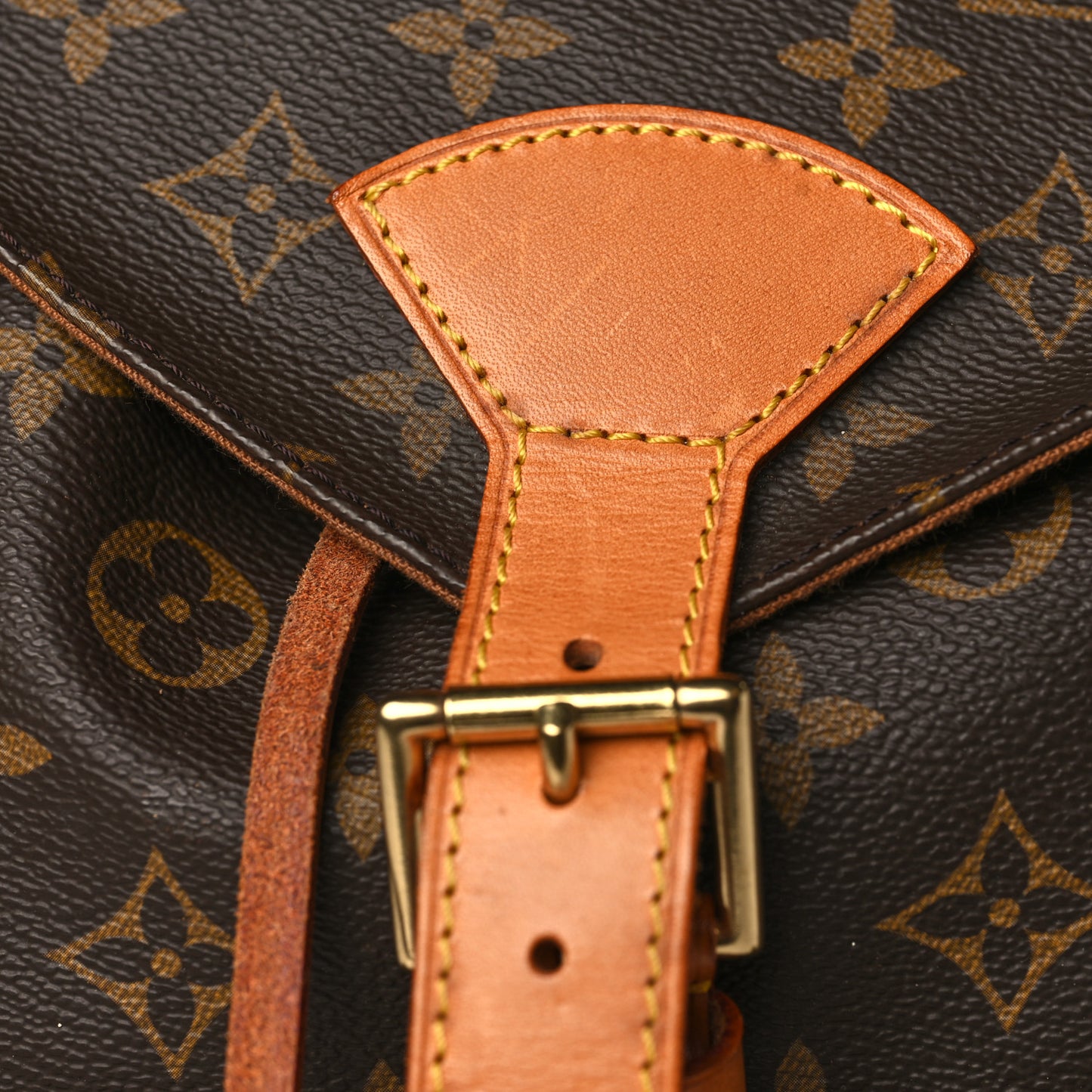 Monogram Montsouris GM Backpack