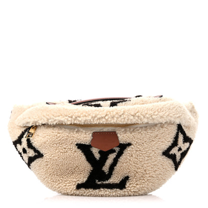 Louis Vuitton Monogram Teddy Bumbag 1 of 9