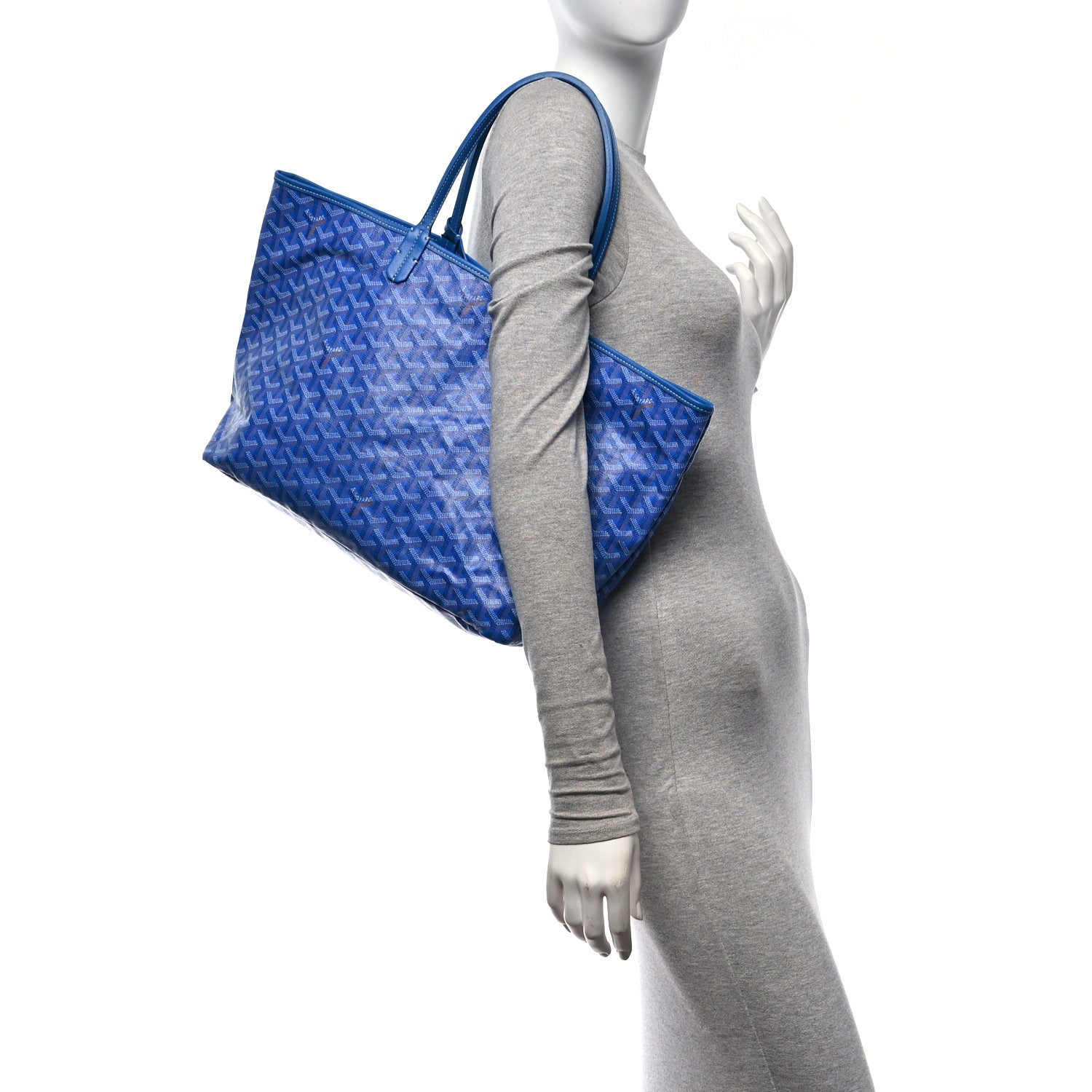 Goyard Goyardine Saint Louis PM Sky Blue 2 of 10