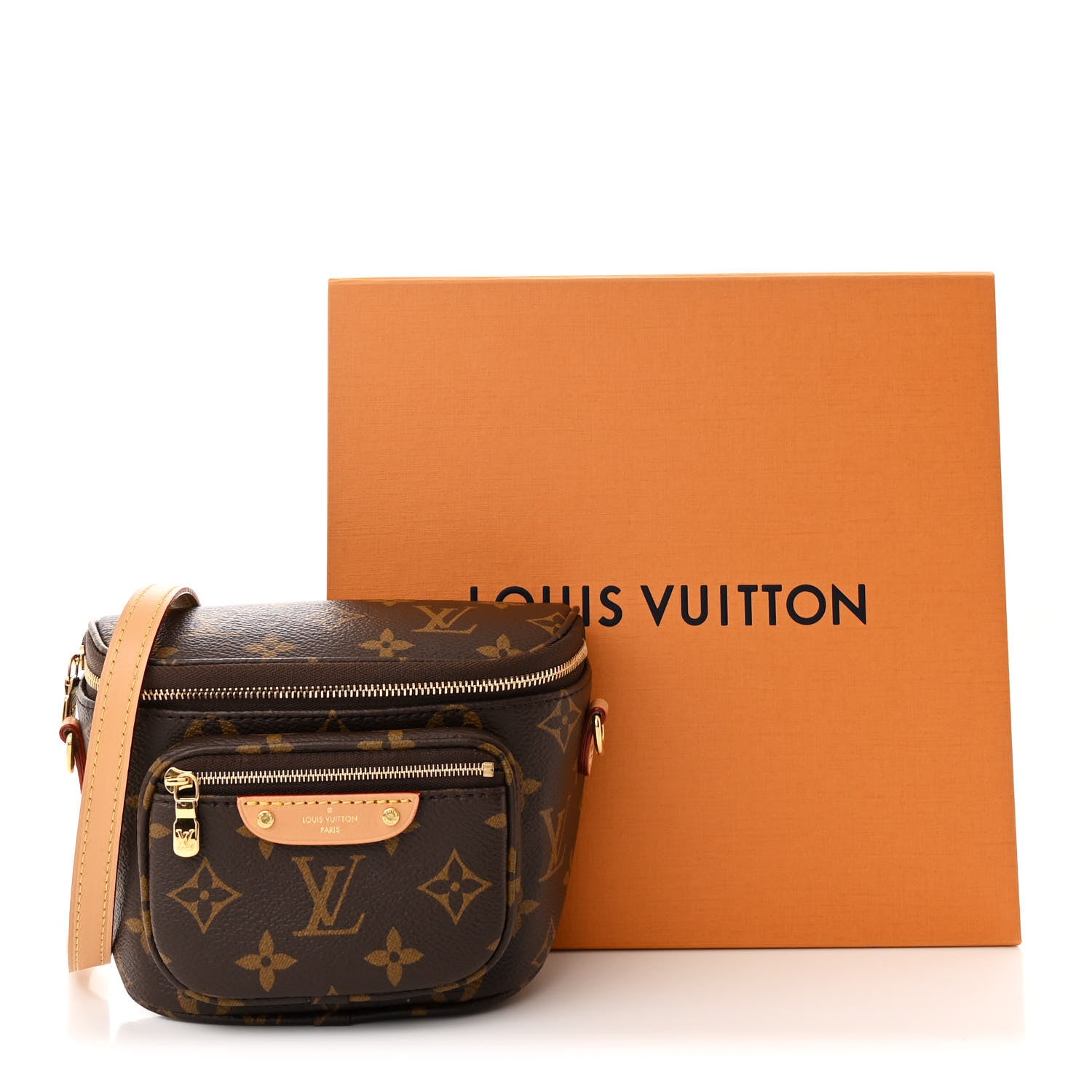 Louis Vuitton Monogram Mini Bumbag 1731172 – FASHIONPHILE