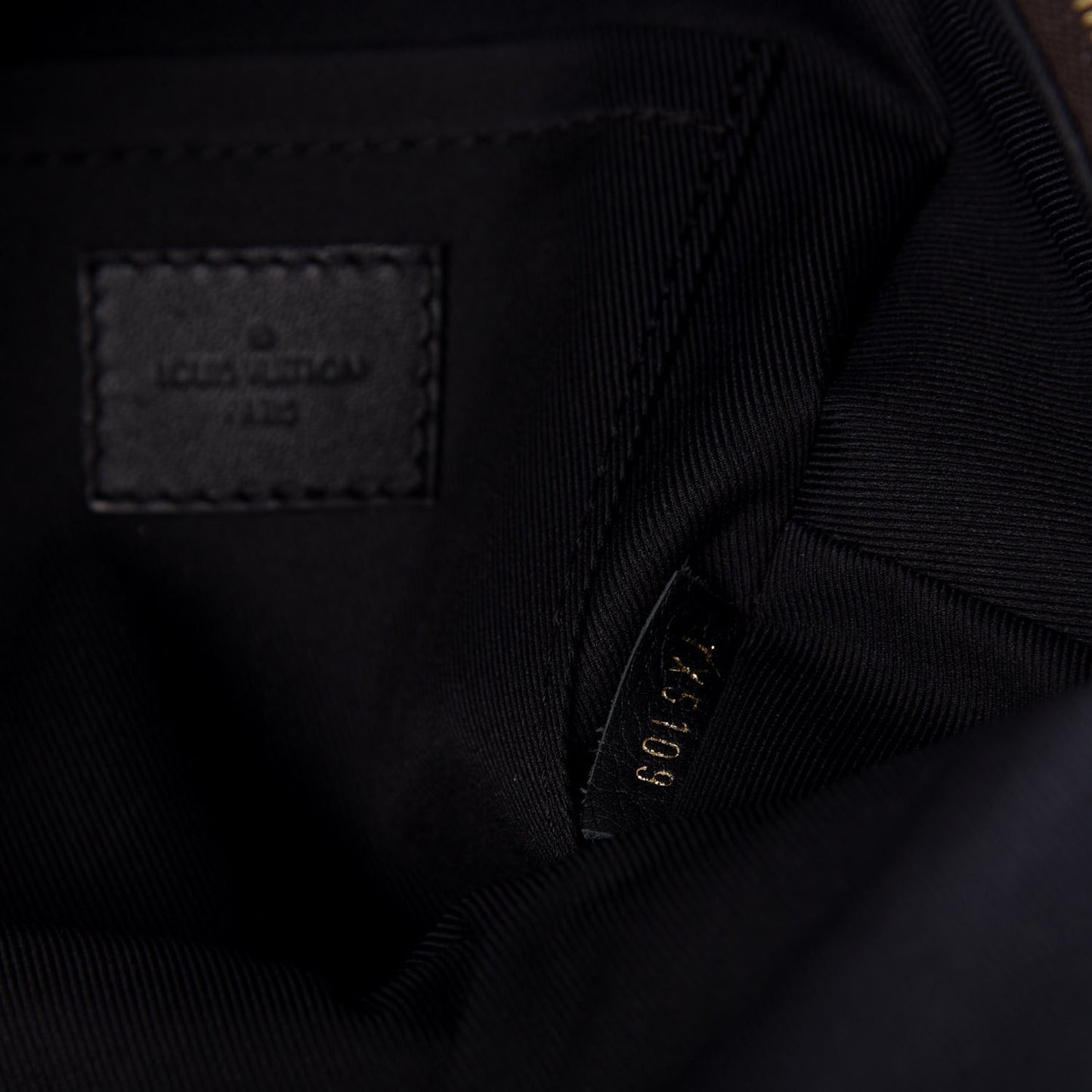 Monogram Palm Springs Backpack Mini