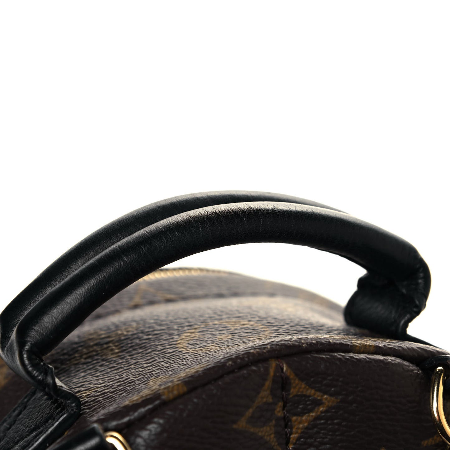 Monogram Palm Springs Backpack Mini