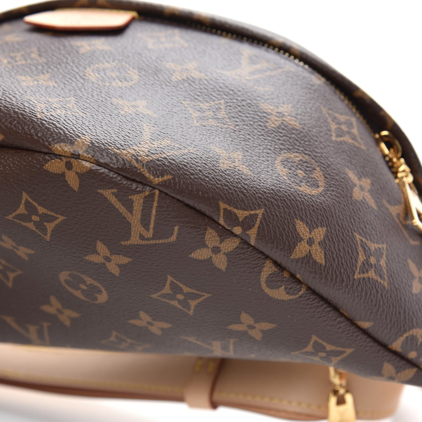 Monogram Bumbag