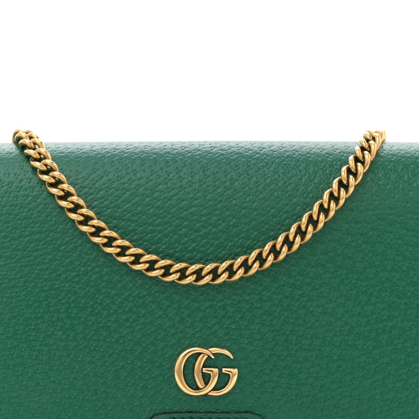 Dollar Pigprint Diana Chain Wallet Green