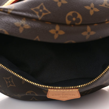Louis Vuitton Monogram Bumbag 5 of 10