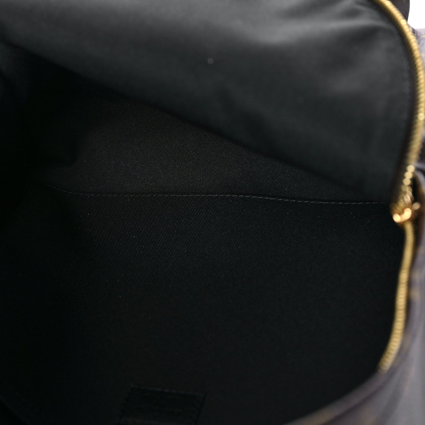 Monogram Palm Springs Backpack MM