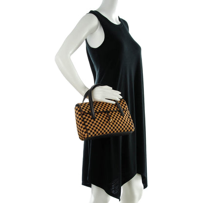 Louis Vuitton Damier Calf Hair Sauvage Lionne 2 of 7