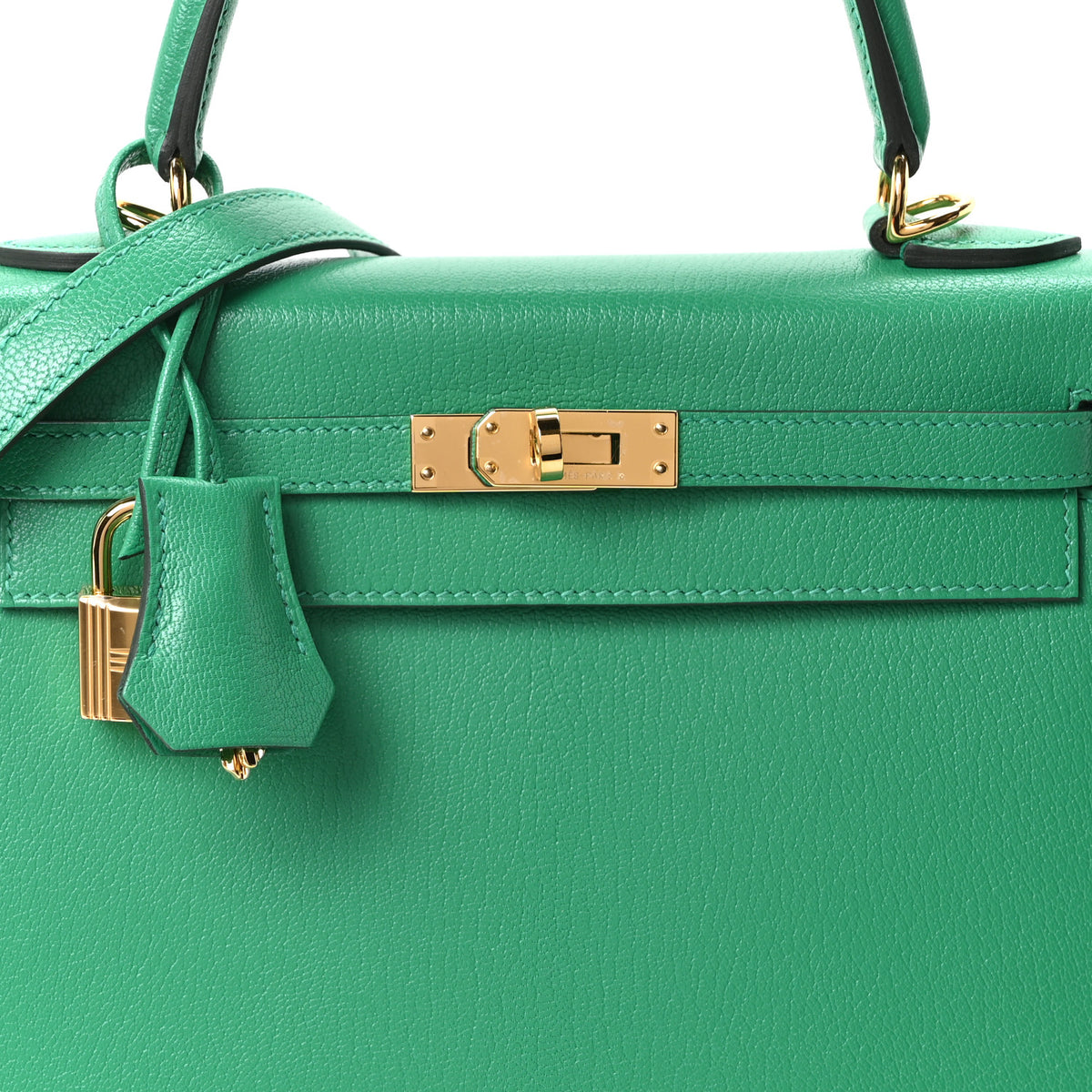 Chevre Chamkila Kelly Sellier 25 Menthe