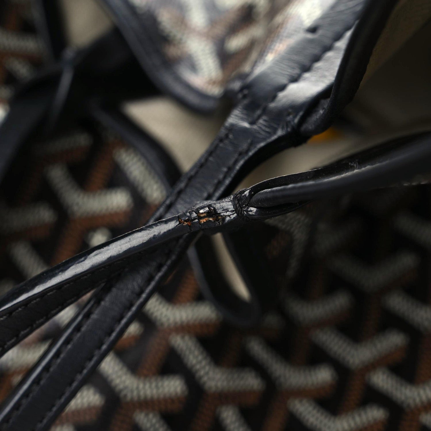 Goyard Goyardine Saint Louis PM Black 11 of 20