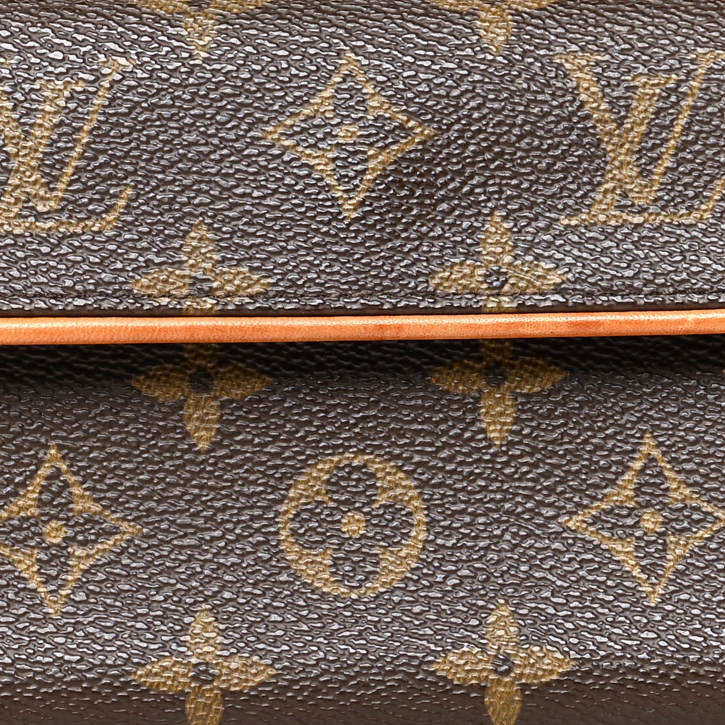 Monogram Pochette Florentine S