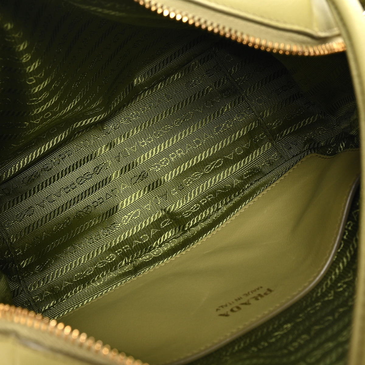 Soft Calfskin Darling Shoulder Bag Pistachio