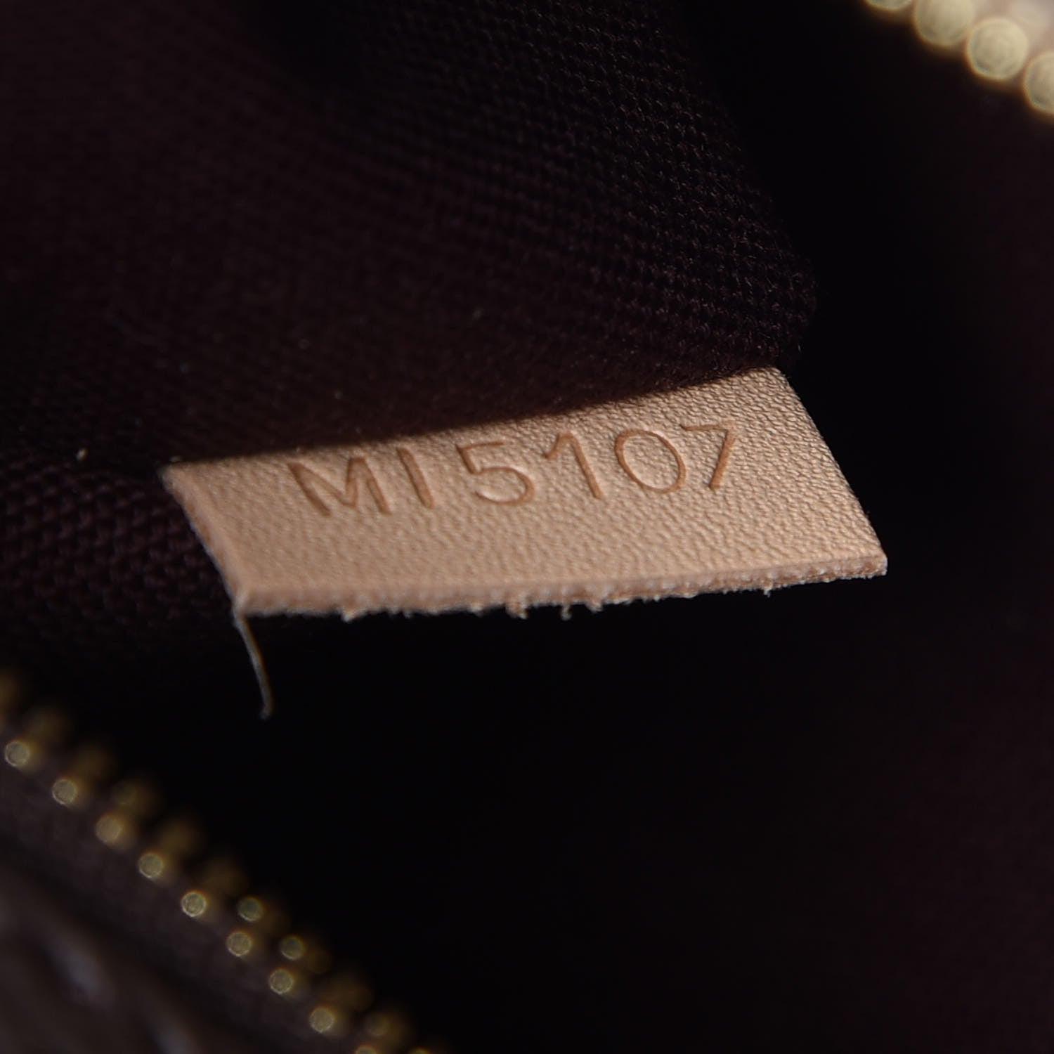 Louis Vuitton Monogram Iena MM 7 of 7