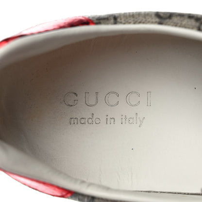 Gucci GG Supreme Monogram Ayers Mens New Ace Low-Top Sneaker 9.5 Blue Red 8 of 9