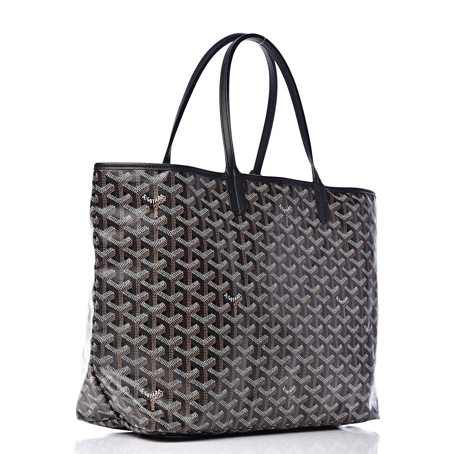 Goyard Goyardine Saint Louis PM Black 5 of 10