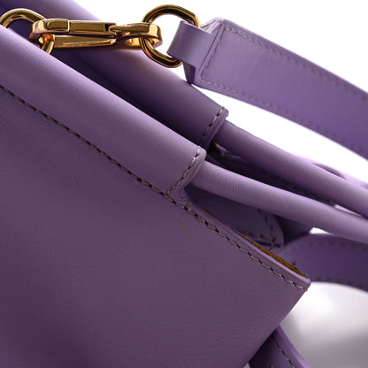 Loewe Shiny Nappa Calfskin Paseo Bag Light Mauve 12 of 12