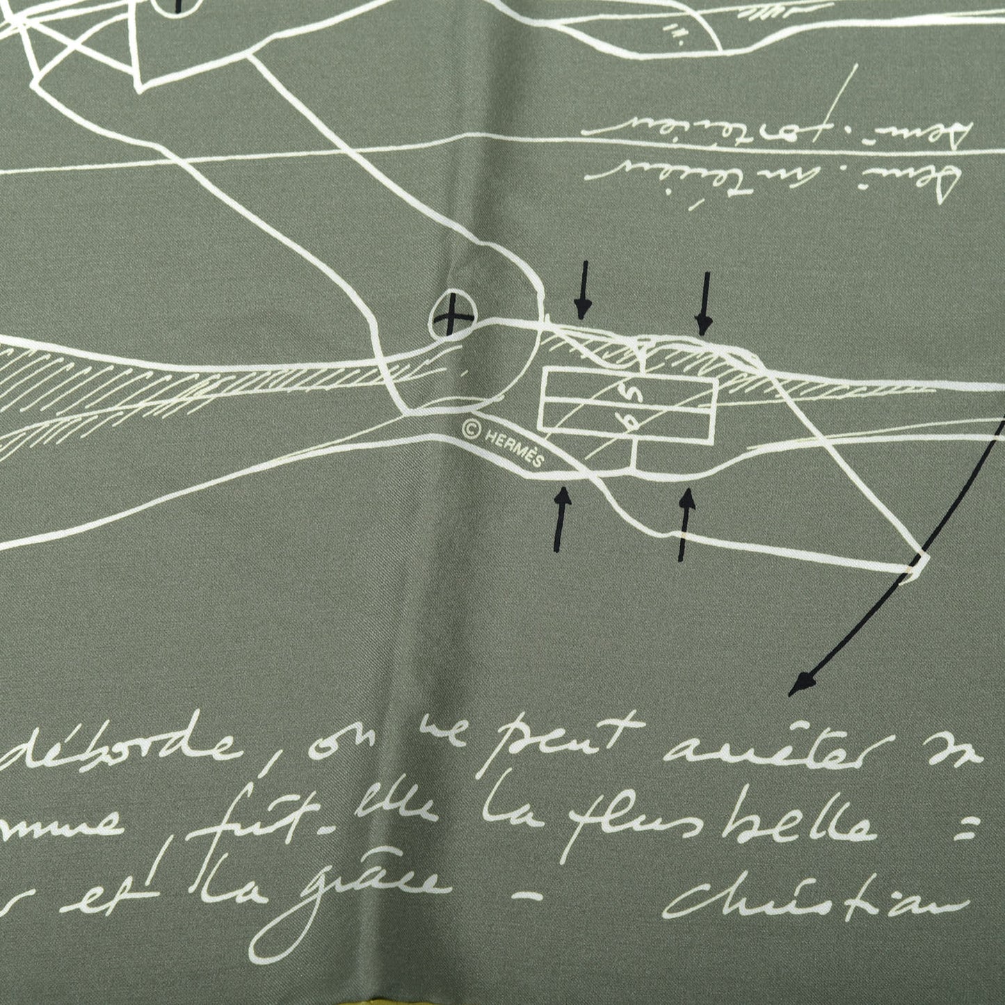 Silk Le Pegase d'Hermes Cut Wash 140 Scarf Kaki Gris Perle Or