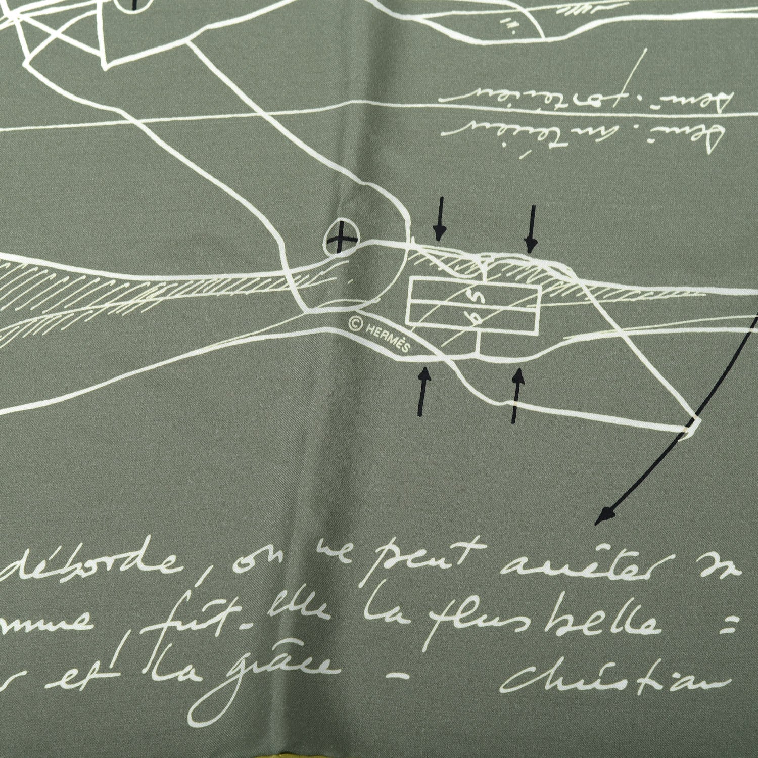 Hermes Silk Le Pegase d'Hermes Cut Wash 140 Scarf Kaki Gris Perle Or 5 of 6