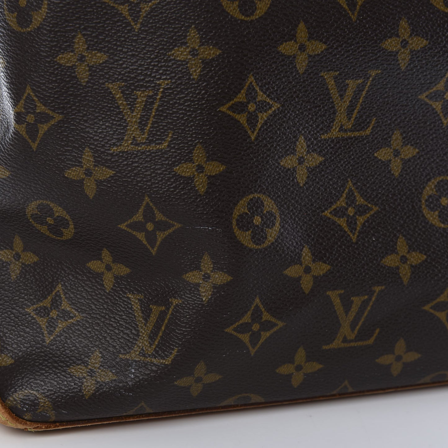 Monogram Cabas Mezzo