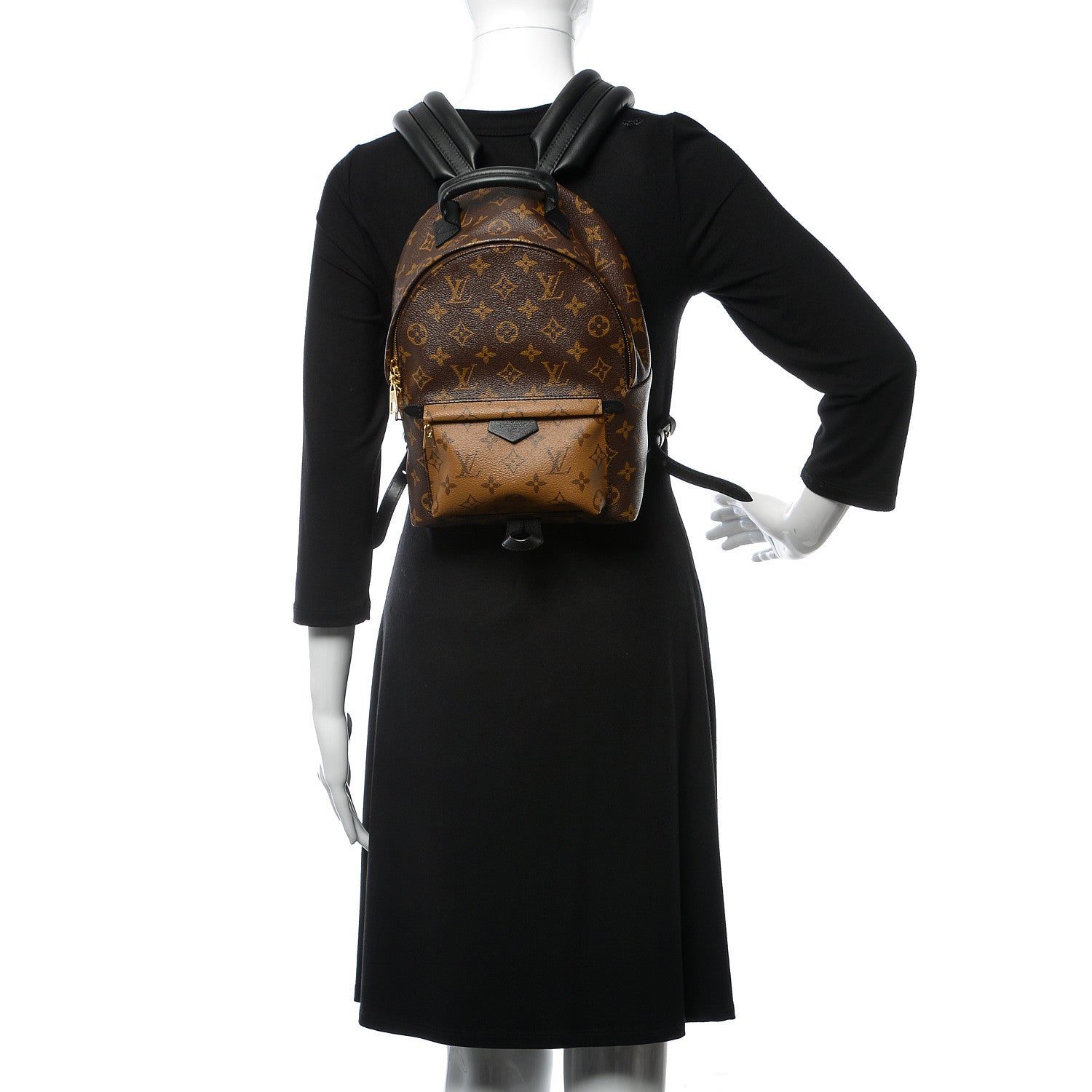 Louis Vuitton Reverse Monogram Palm Springs Backpack PM 2 of 11