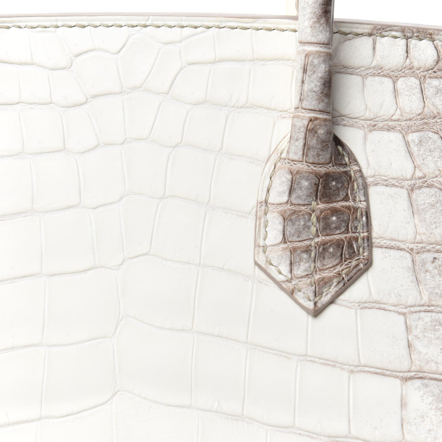 Matte Niloticus Crocodile Himalaya Birkin 30 Blanc