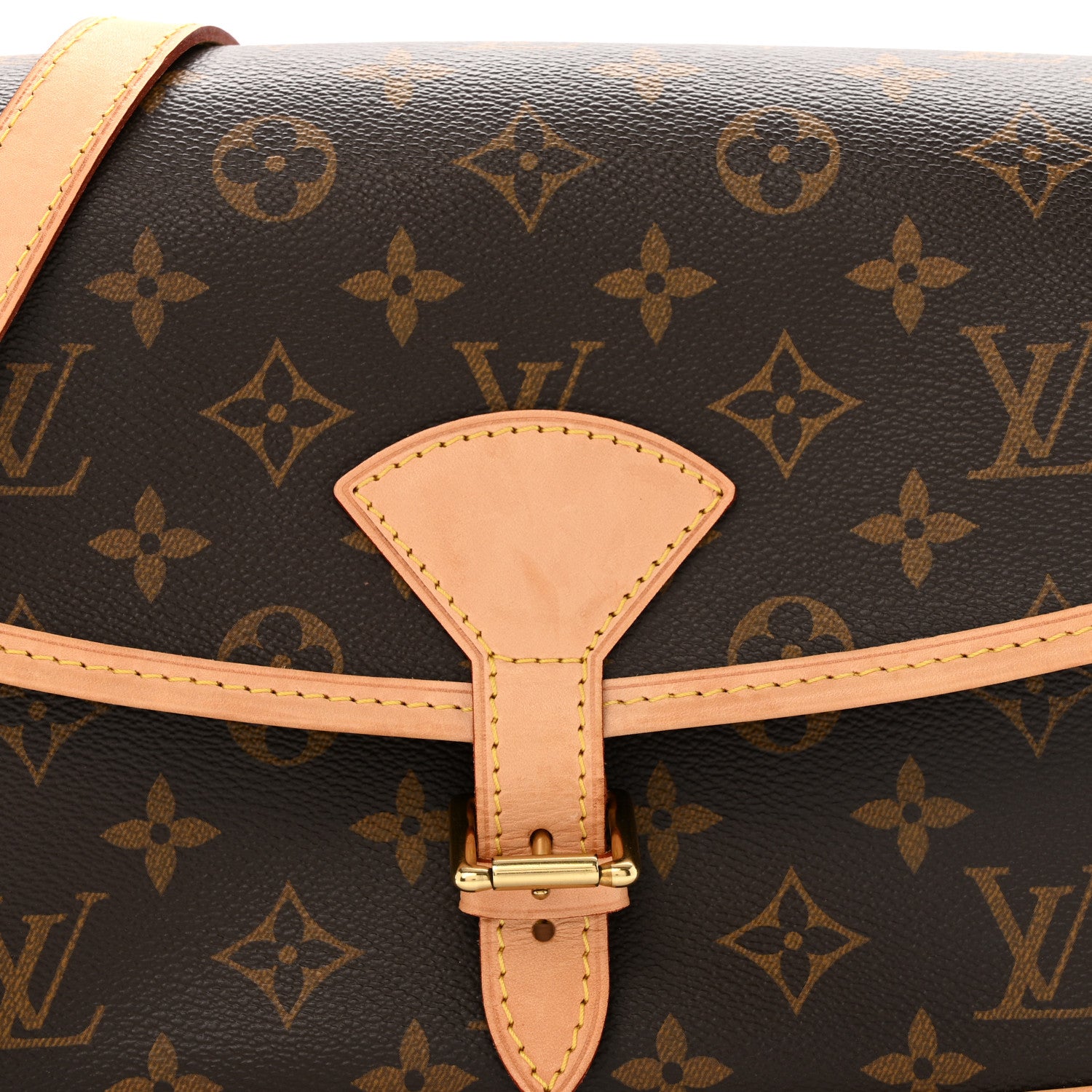 Louis Vuitton Monogram Sologne 7 of 14