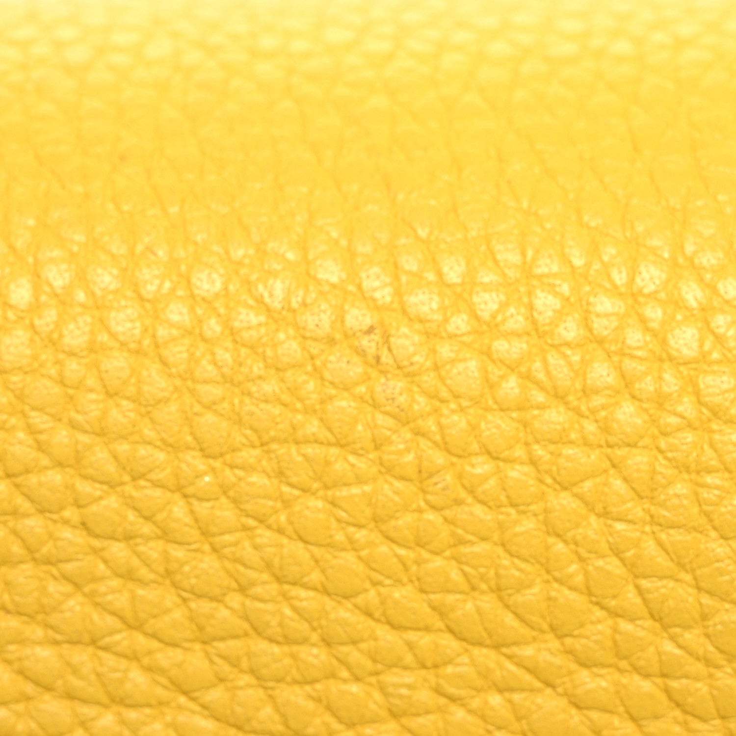 Loewe Grained Calfskin Mini Gate Crossbody Bag Yellow 13 of 15
