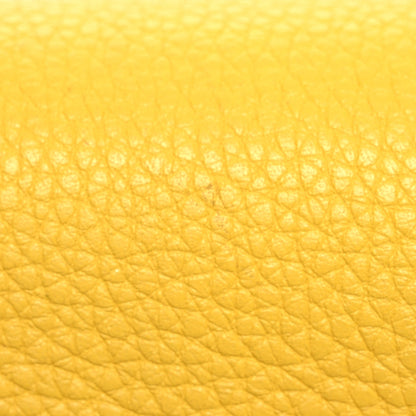 Loewe Grained Calfskin Mini Gate Crossbody Bag Yellow 13 of 15
