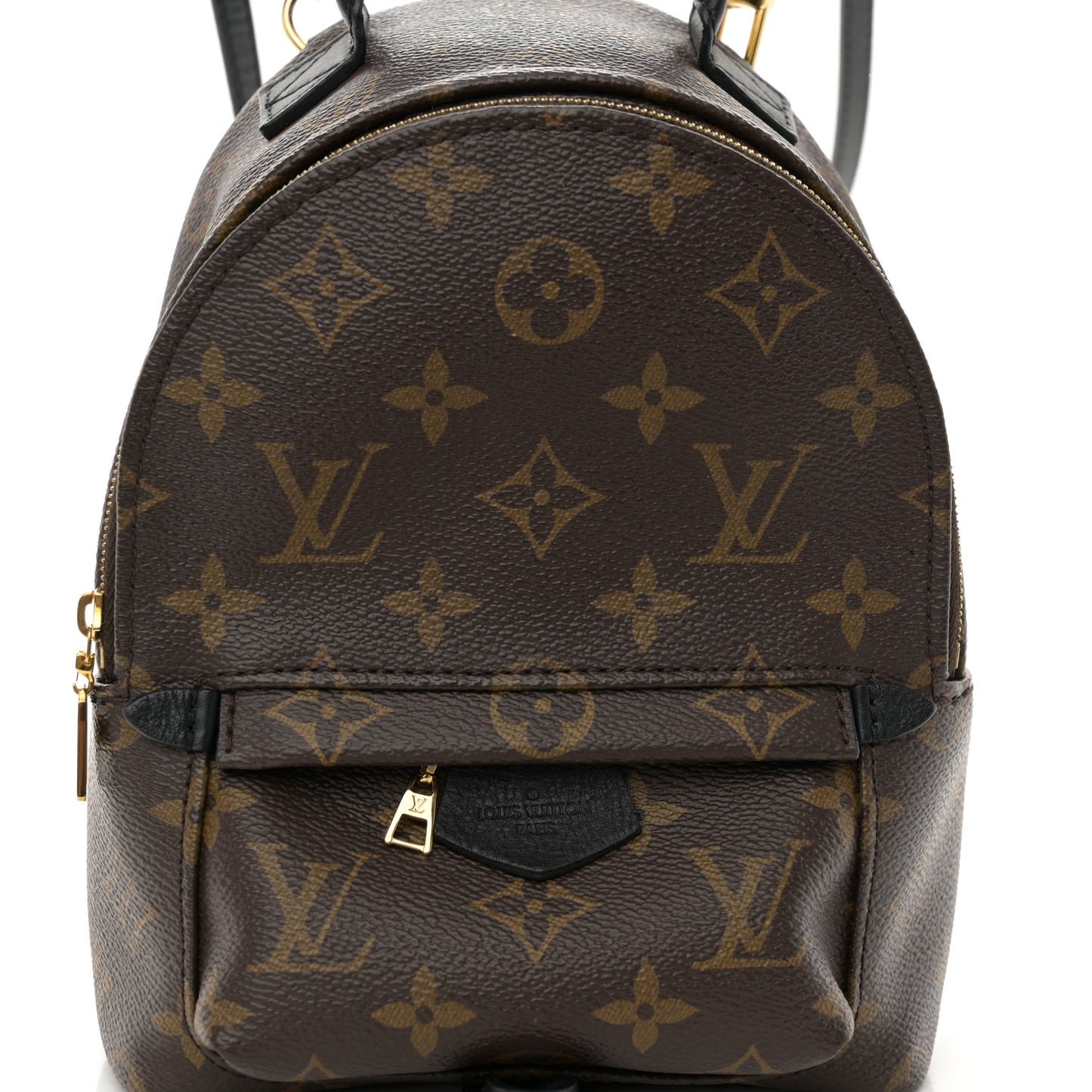 Monogram Palm Springs Backpack Mini