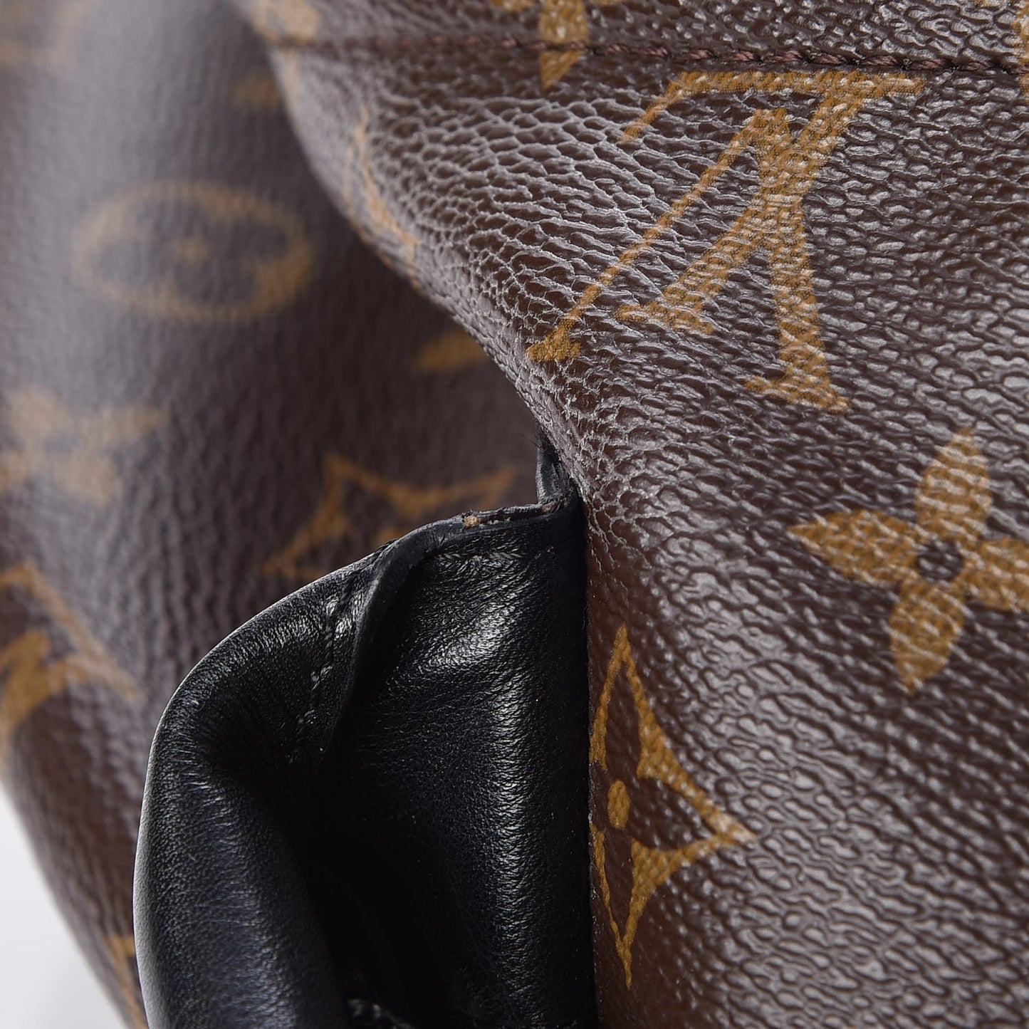 Monogram Palm Springs Backpack MM