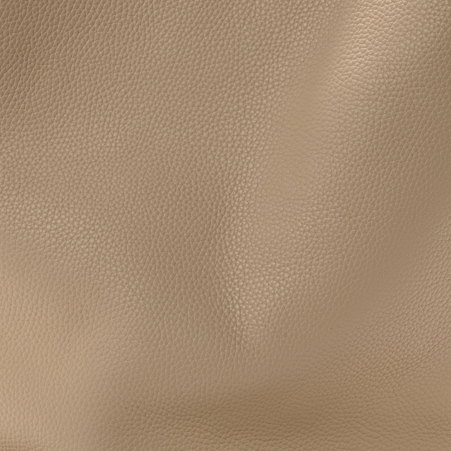 Pebbled Calfskin Everyday Cabas Avario