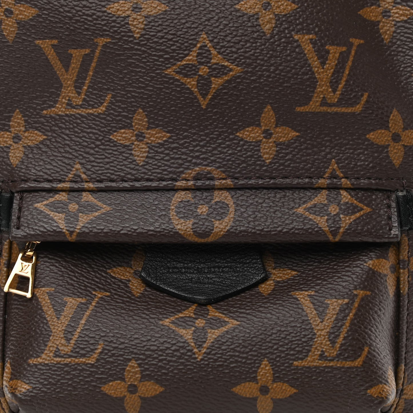 Monogram Palm Springs Backpack Mini