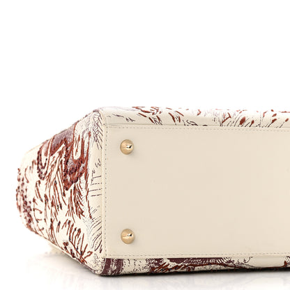 Christian Dior Calfskin Embroidered Medium Toile De Jouy Lady Dior White Red 8 of 9