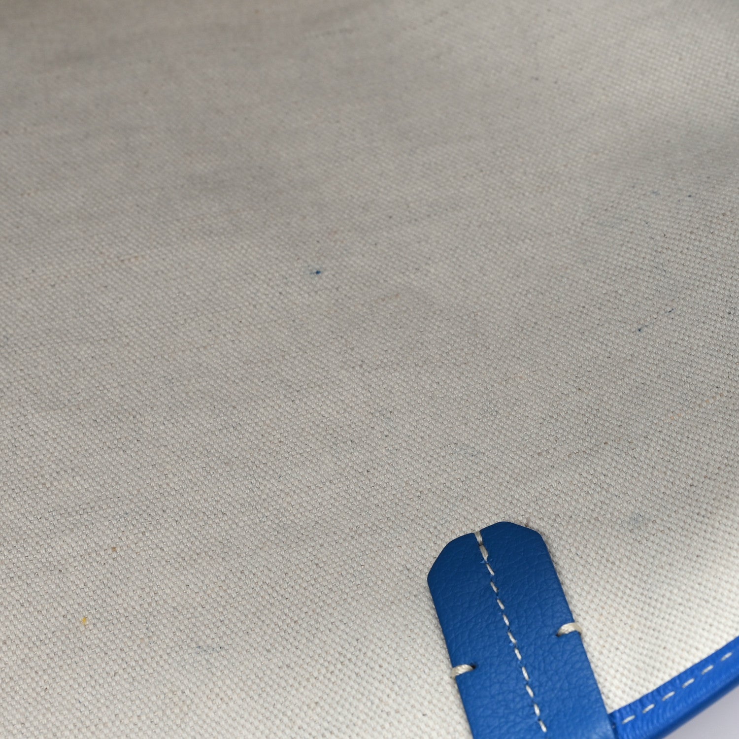 Goyard Goyardine Saint Louis PM Sky Blue 10 of 10