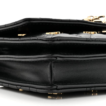 Christian Dior Lambskin Cannage Butterfly Studs Miss Dior Pouch Black 12 of 14