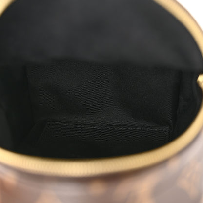 Louis Vuitton Monogram Palm Springs Backpack Mini 5 of 9