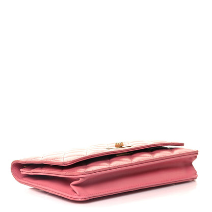 Chanel Aged Calfskin Quilted Reissue Wallet On Chain WOC Pink 4 of 14