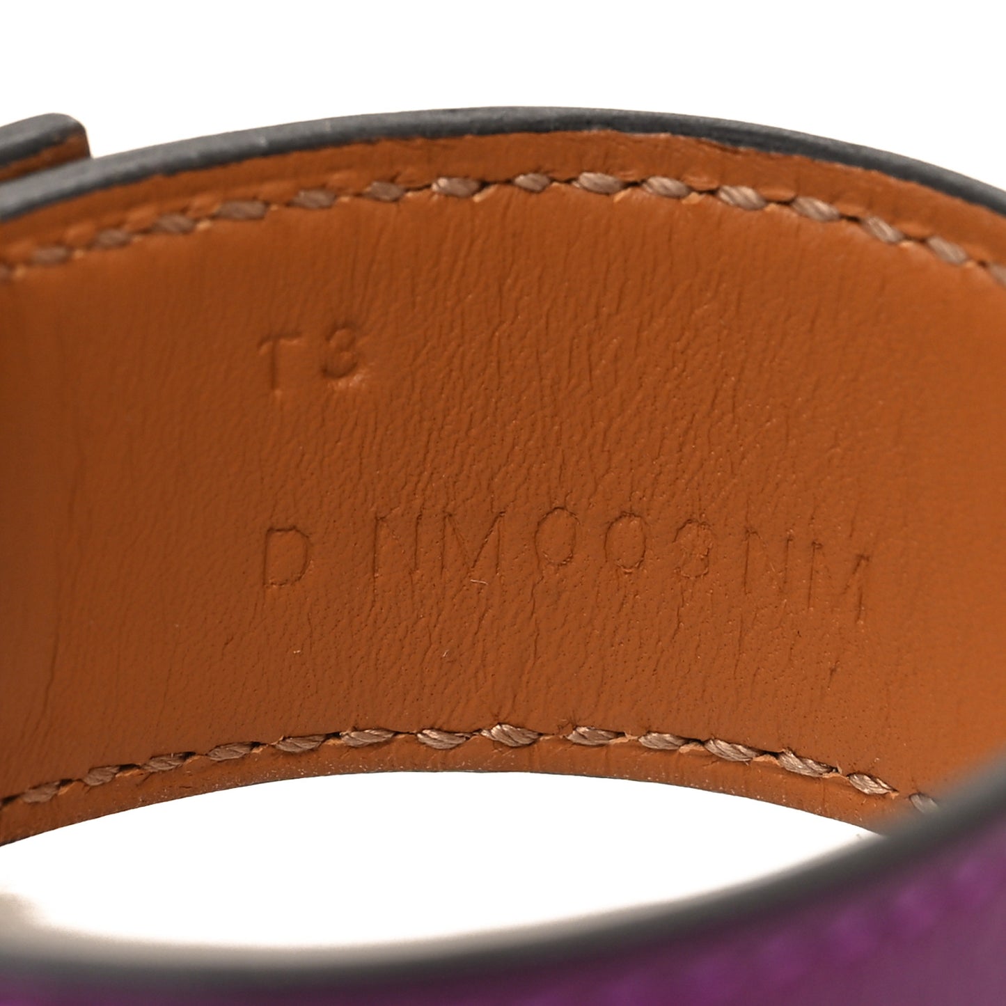 Evercolor Collier de Chien 24 Bracelet T3 Anemone