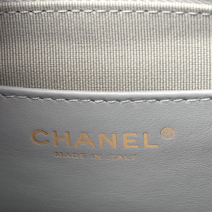 Chanel Shiny Lambskin Quilted Medium Camera Case Grey 6 of 10