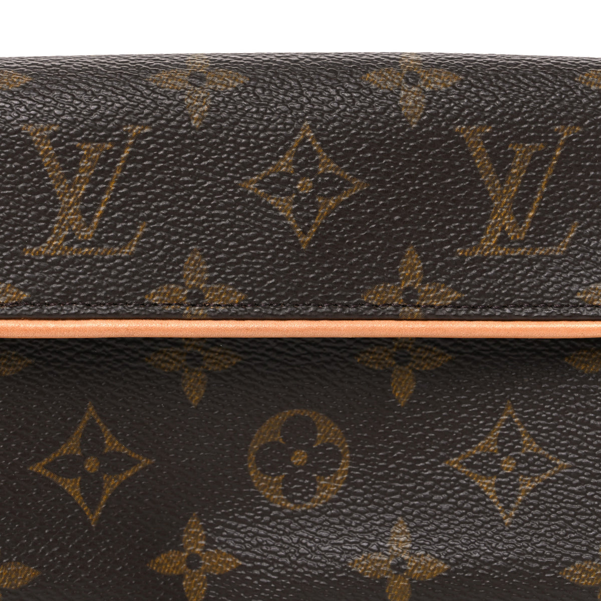 Monogram Pochette Florentine XS