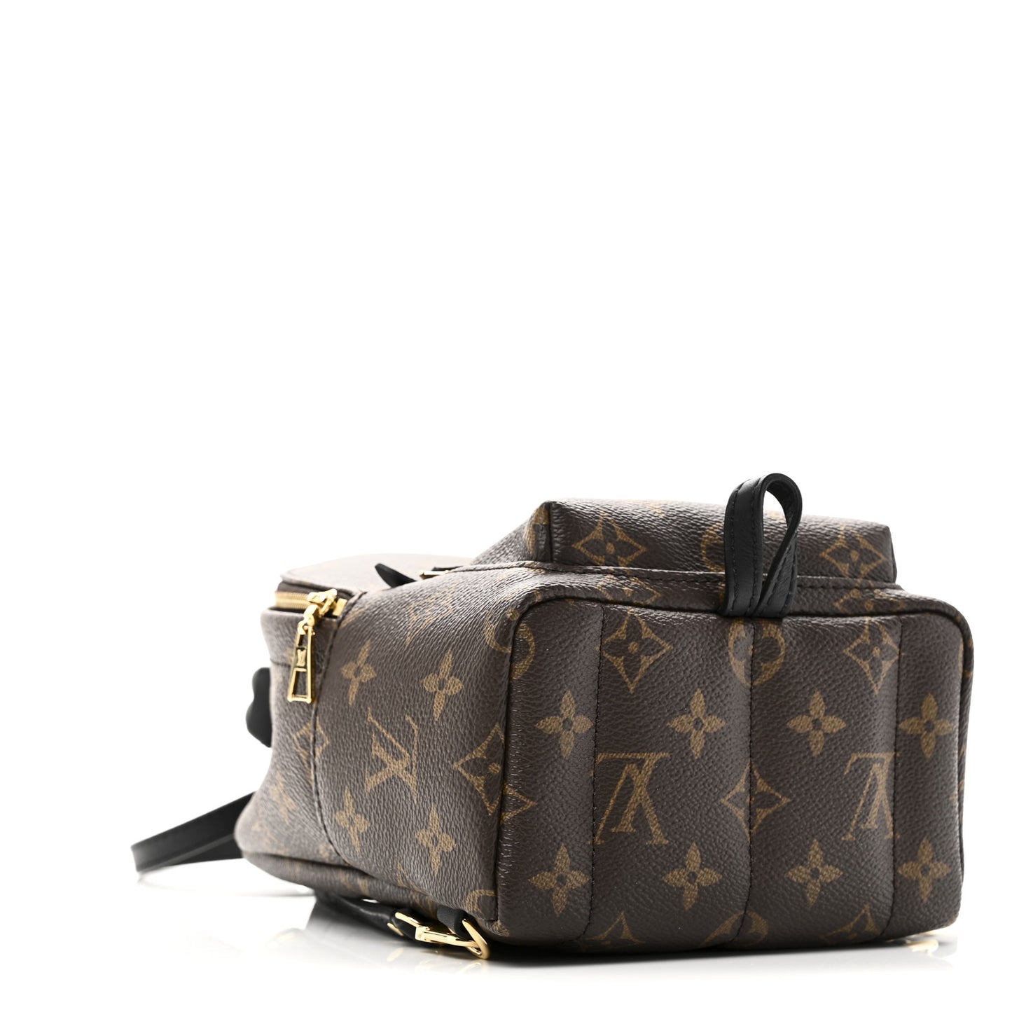Monogram Palm Springs Backpack Mini