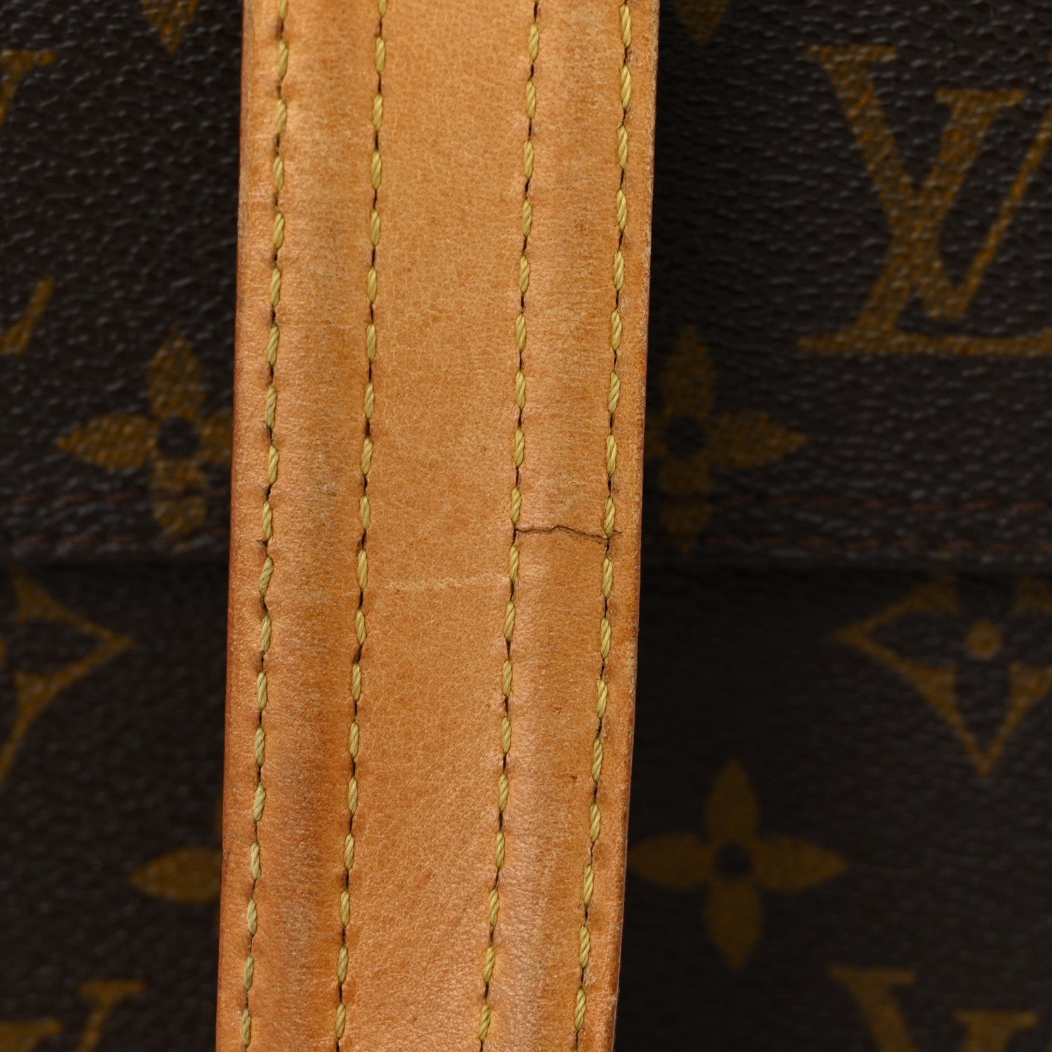 Louis Vuitton Monogram Multipli-Cite 12 of 13